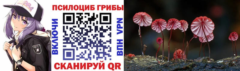 Псилоцибиновые грибы ЛСД  KRAKEN зеркало  Орёл 